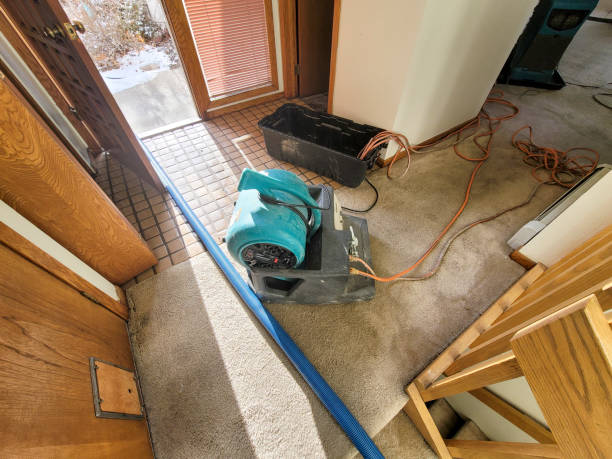 Best Carpet water damage restoration  in Heber Springs, AR