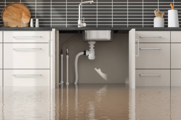 Trusted Heber Springs, AR Water damage restoration Experts