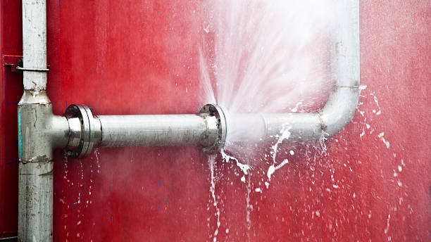 Best Flooded house restoration  in Heber Springs, AR